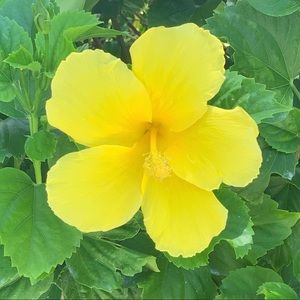 Welcome to my closet!!